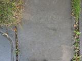 image of grave number 764140